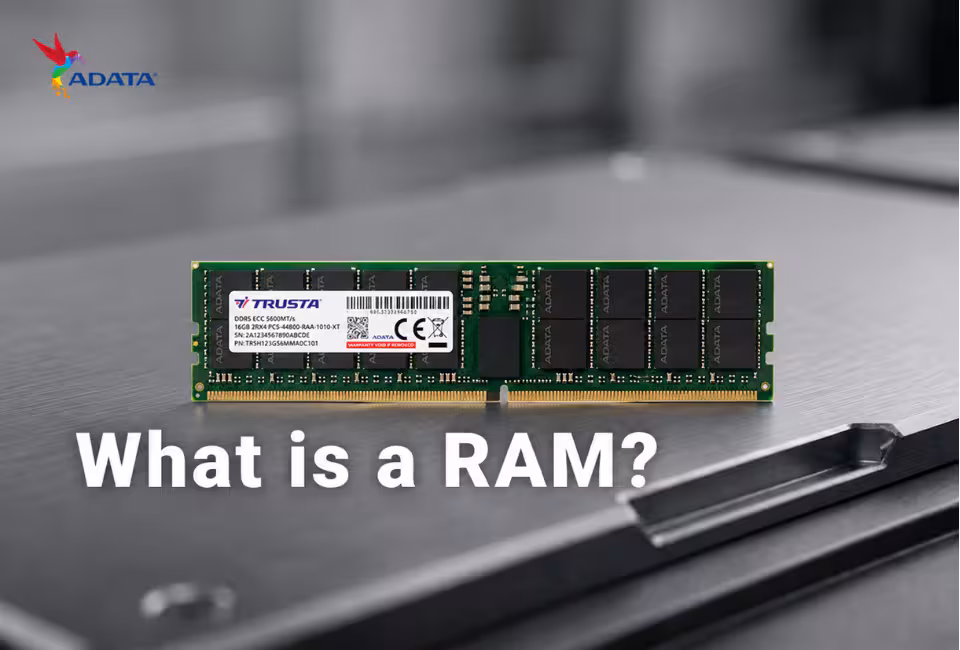 What is a Computer RAM: What Can It Do, Types, Upgrades, and More