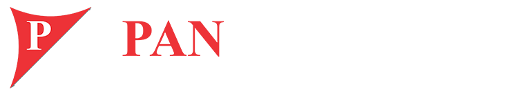 Pan Infotech